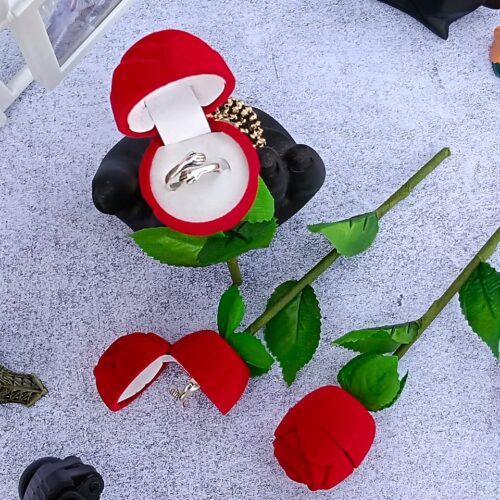 Rose Ring Box + Hug Ring Combo Hug Ring Valentine Special Gift Valentine's Day Gifts for Valentine